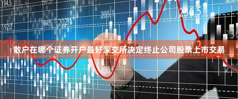 散户在哪个证券开户最好深交所决定终止公司股票上市交易