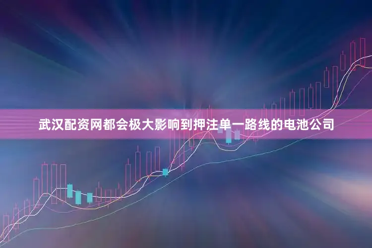 武汉配资网都会极大影响到押注单一路线的电池公司