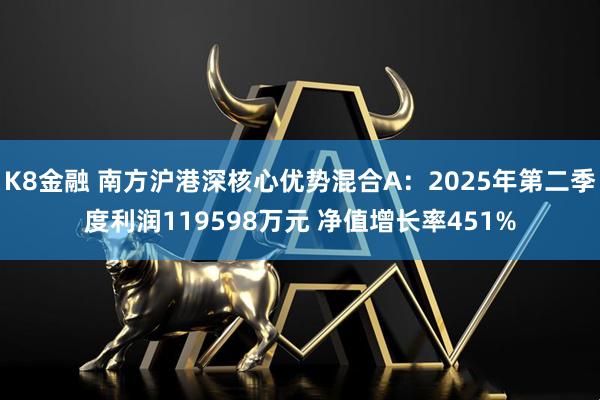 K8金融 南方沪港深核心优势混合A:2025年第二季度利润119598万元 净值增长率451%