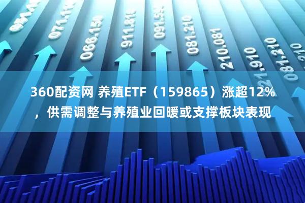 360配资网 养殖ETF(159865)涨超12%,供需调整与养殖业回暖或支撑板块表现