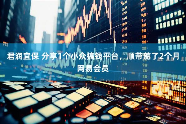 君润宜保 分享1个小众搞钱平台，顺带薅了2个月网易会员